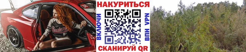 Шишки марихуана Bruce Banner Коркино